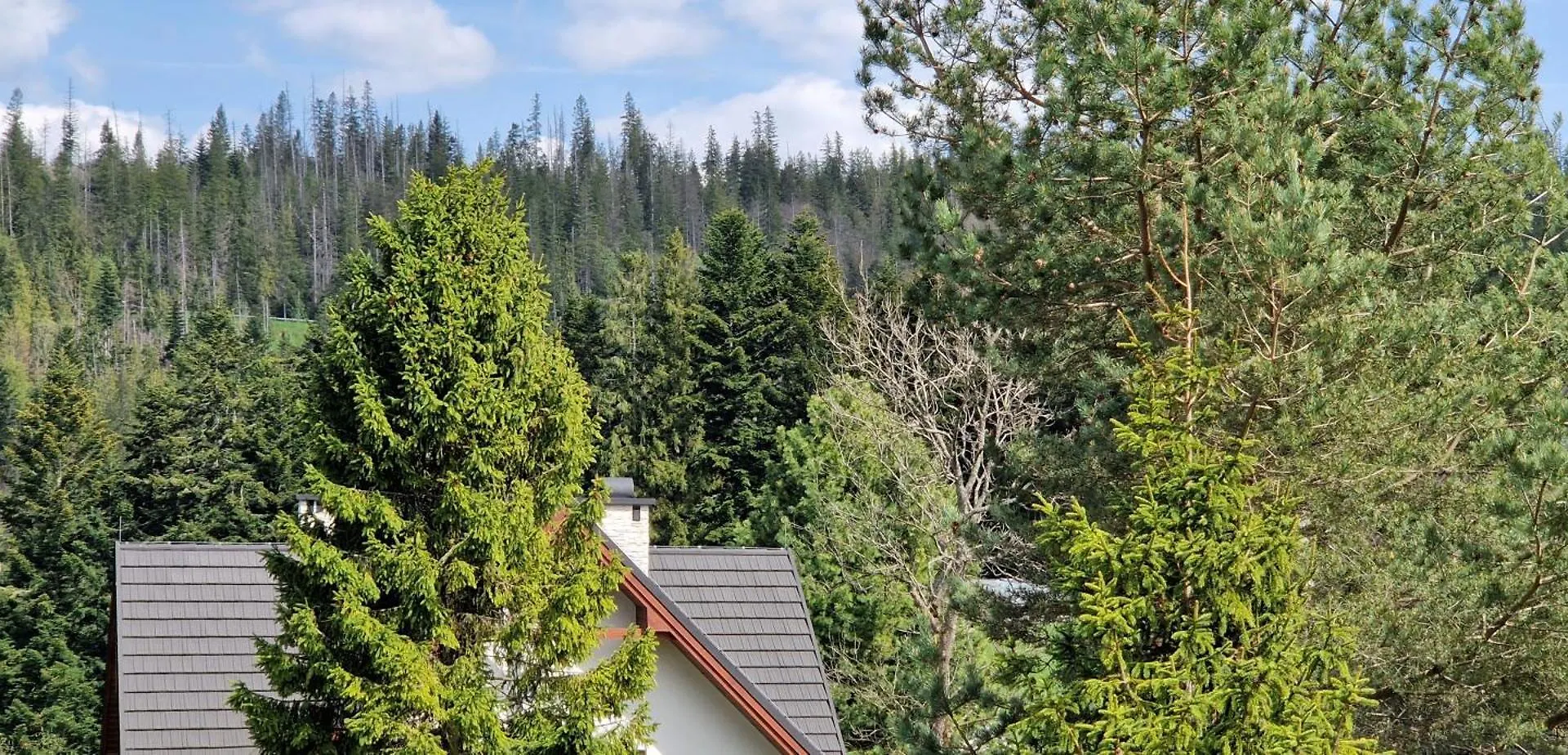 Pokoje Apartamenty Pod Limba Zakopane 0*,