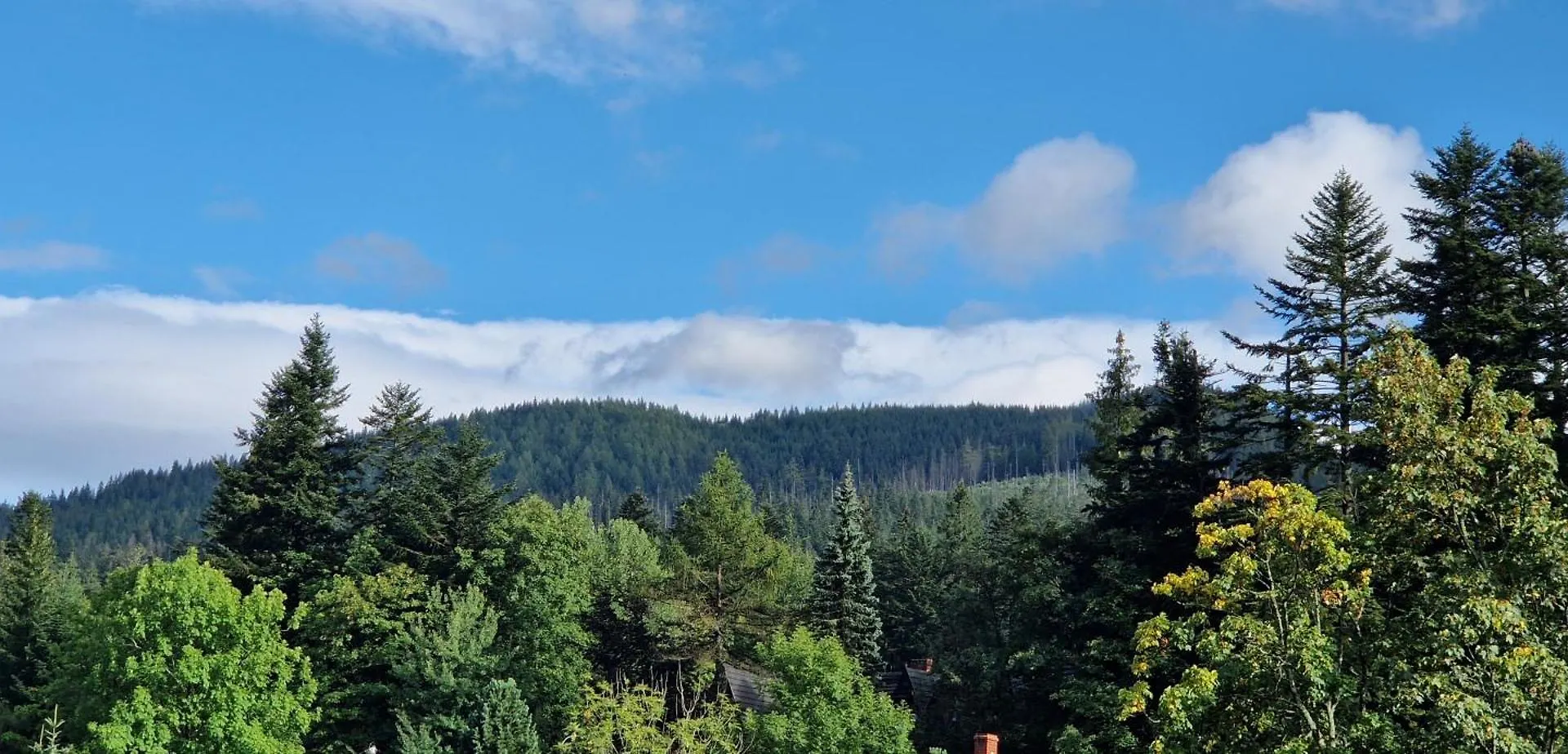 Pokoje Apartamenty Pod Limba Zakopane 0*,  Poland