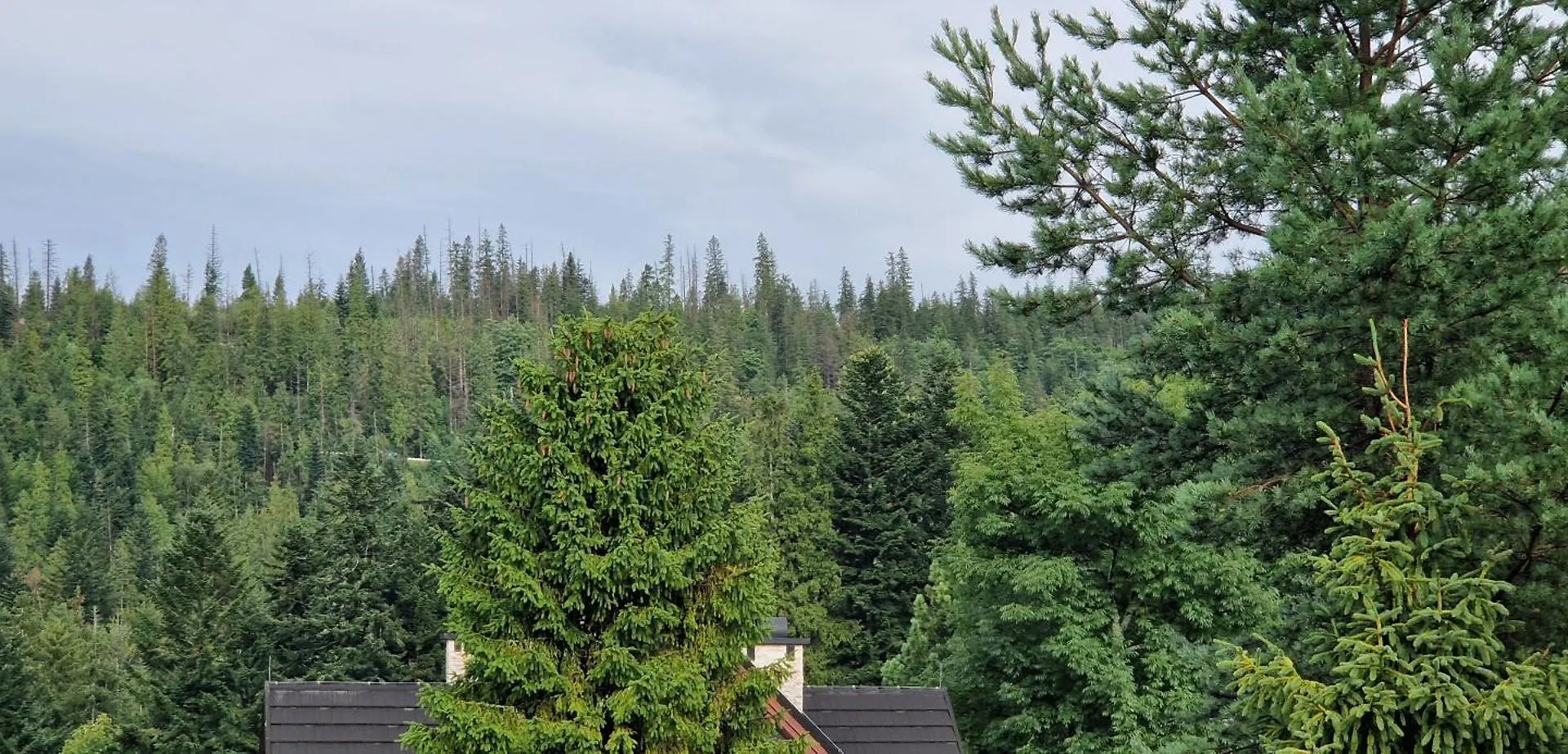 Pokoje Apartamenty Pod Limbą Zakopane Polska