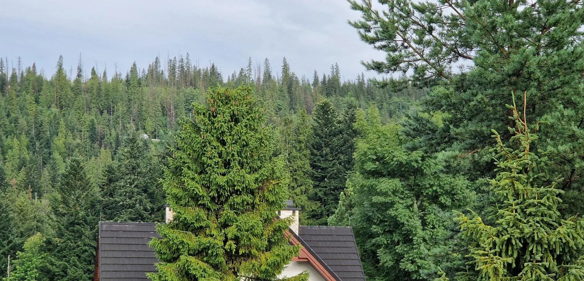 Homestay Pokoje Apartamenty Pod Limba Zakopane Poland