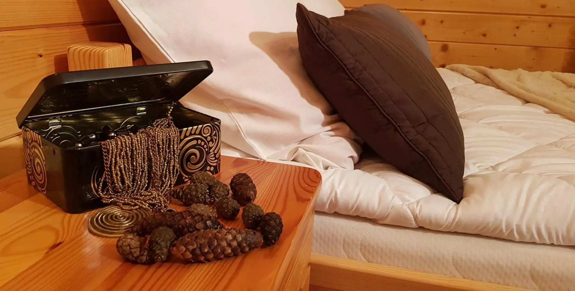 Pokoje Apartamenty Pod Limbą Zakopane Kwatera prywatna